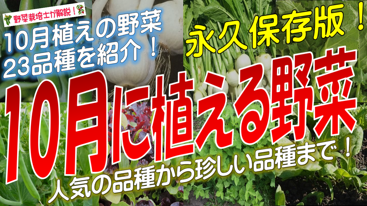 10月に植える野菜