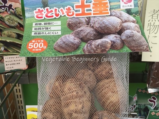 サトイモの育てやすい品種