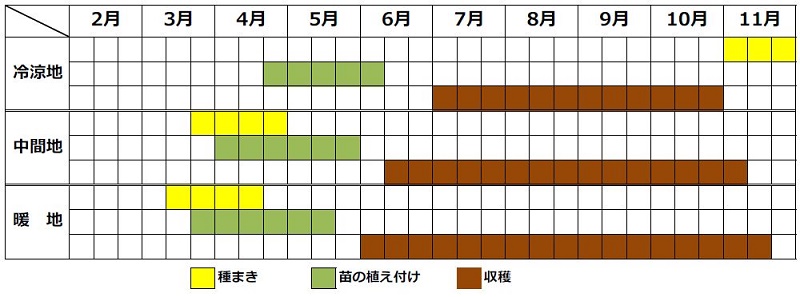 アシタバ栽培カレンダー