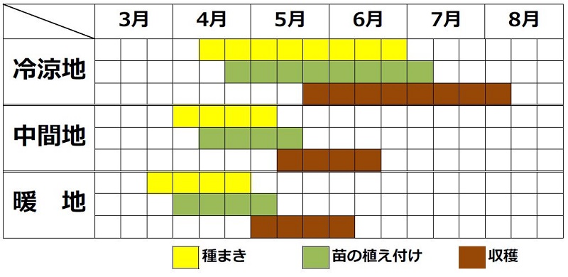 アイスプランツ栽培カレンダー