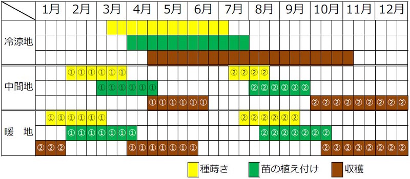 茎ブロッコリー栽培カレンダー