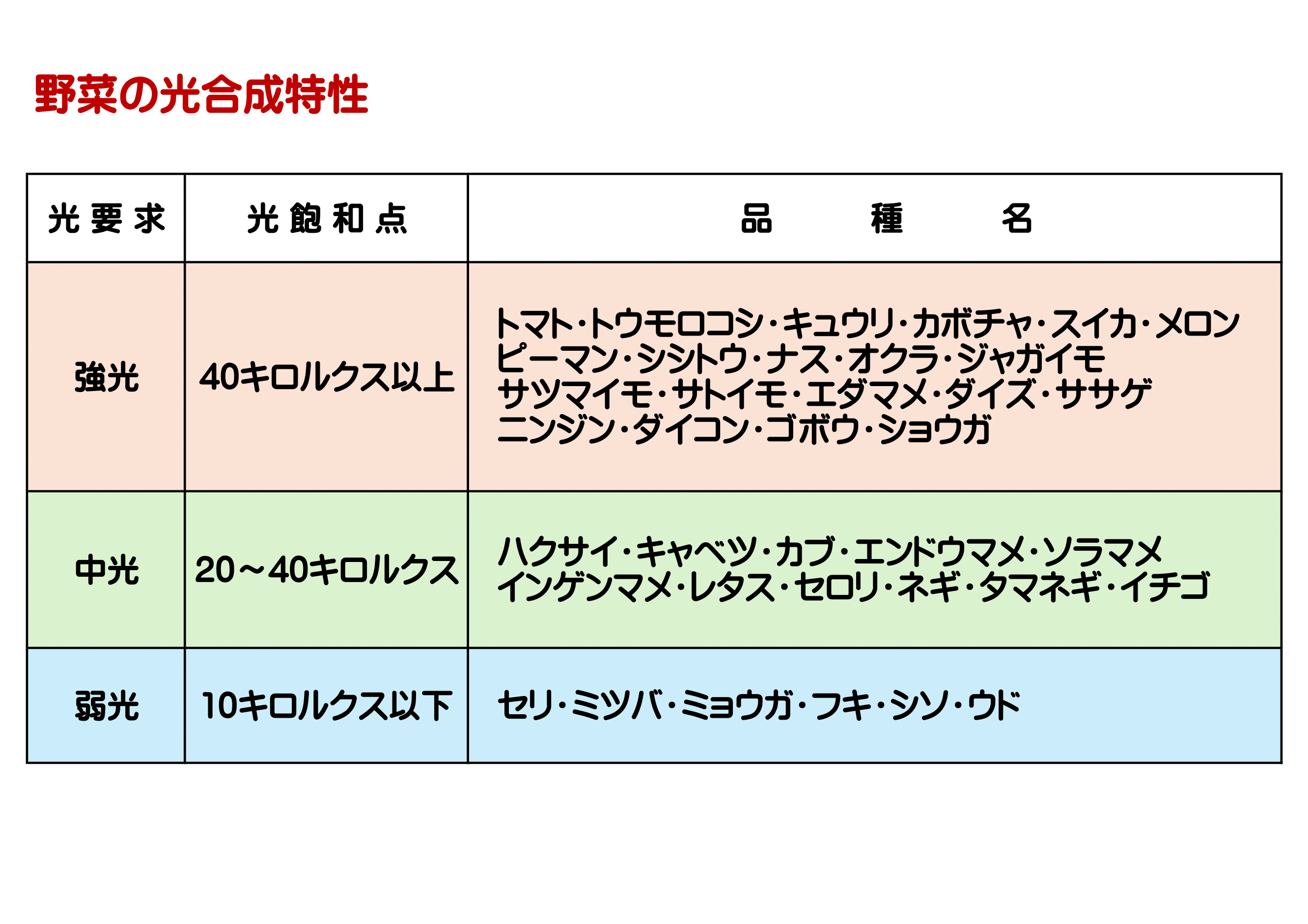 野菜ごとの光合成特性表