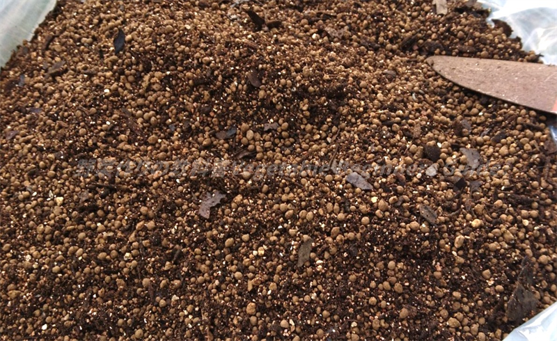 落ち葉堆肥の使い方は？