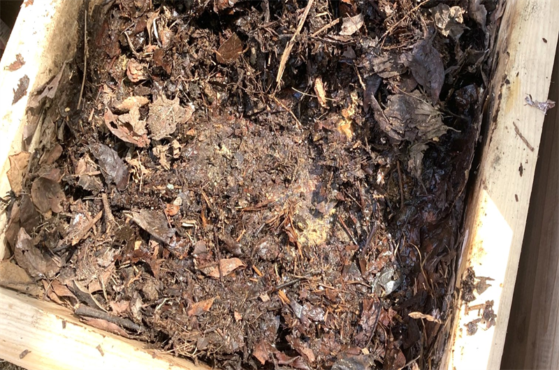 落ち葉堆肥の肥料成分は？