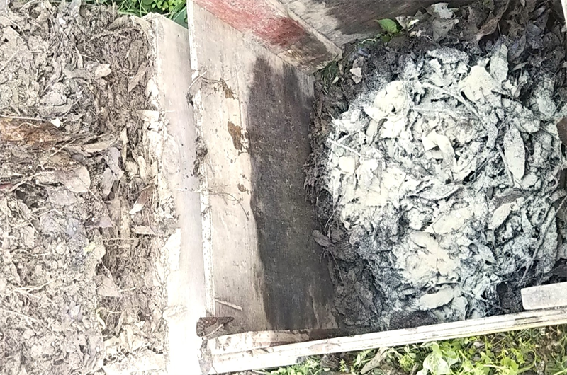 混ぜる米ぬかの量が少ないと落ち葉堆肥作りは失敗する