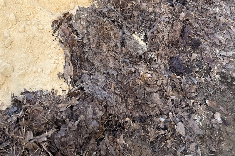 落ち葉堆肥作りの手順「米ぬかを混ぜる」