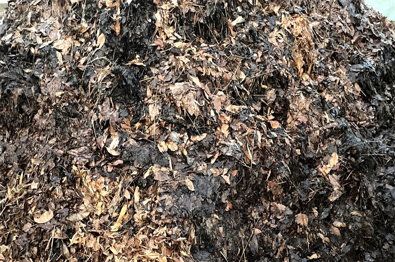落ち葉堆肥の完成までの期間は？