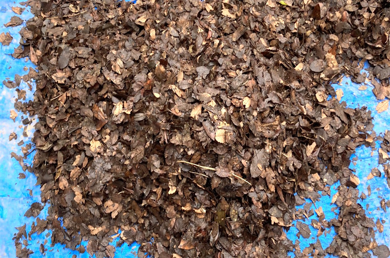 落ち葉堆肥の作り方