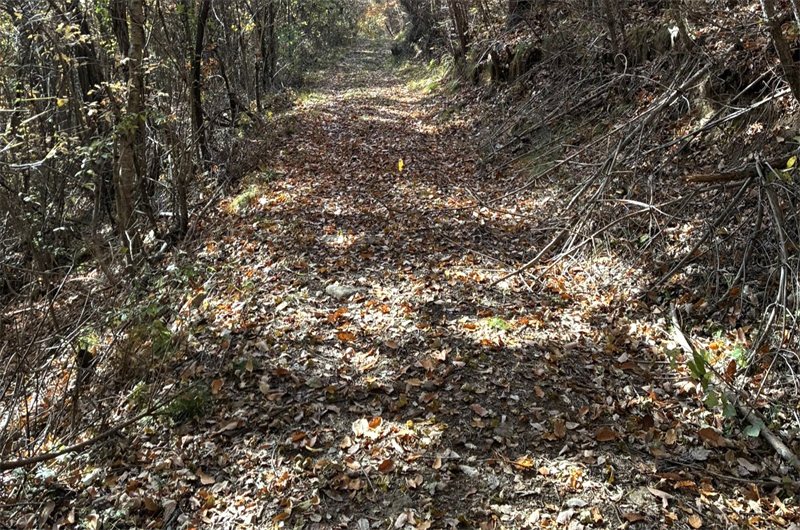 落ち葉堆肥作りで用意する材料と道具類