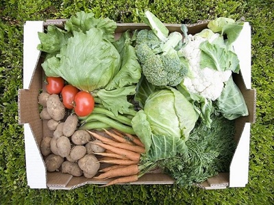家庭菜園の野菜栽培カレンダー