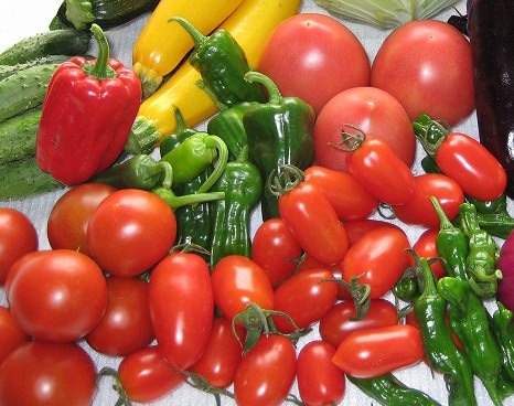 実野菜の品種と選び方