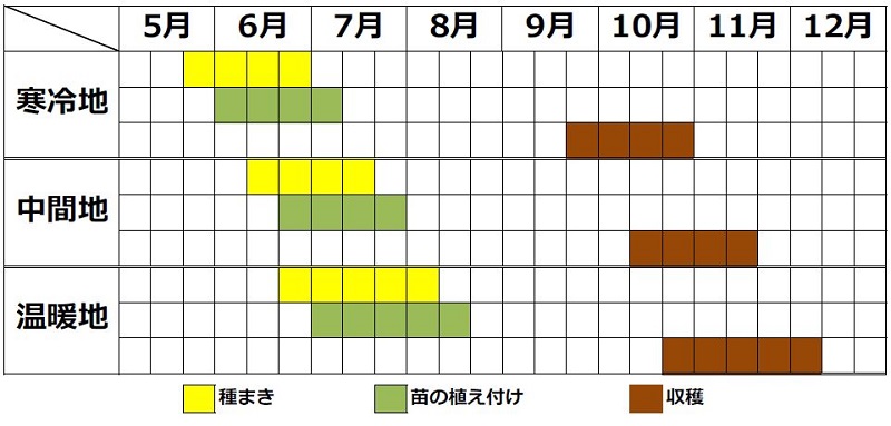 大豆の栽培カレンダー