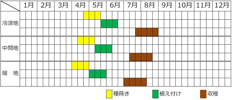 枝豆の栽培カレンダー
