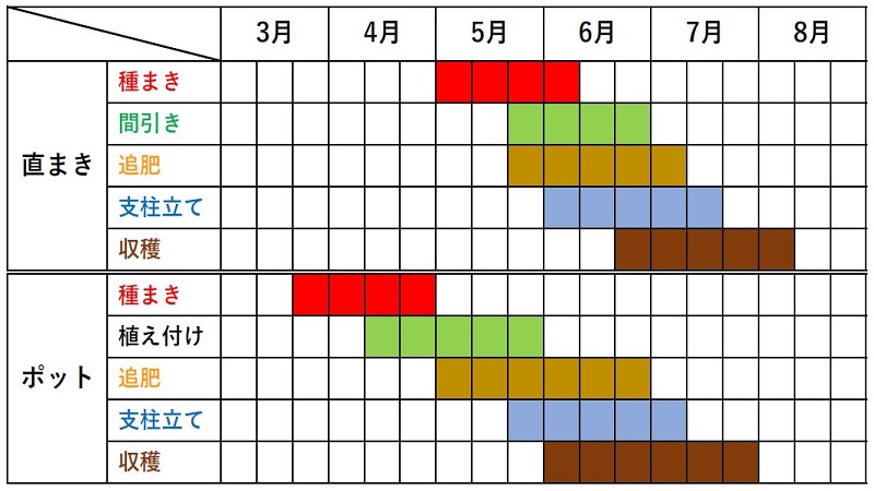 インゲンマメの栽培カレンダー