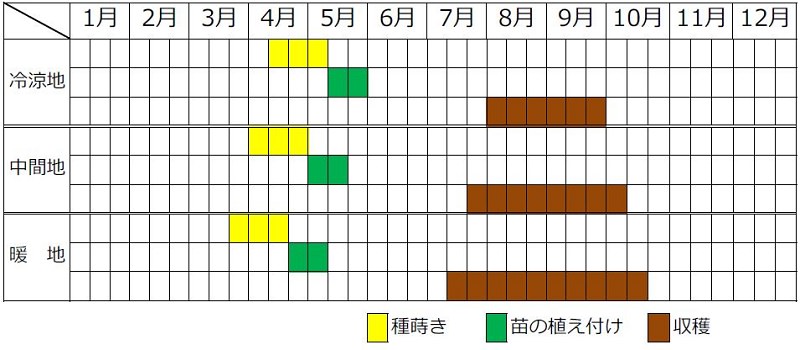 ニガウリ栽培カレンダー