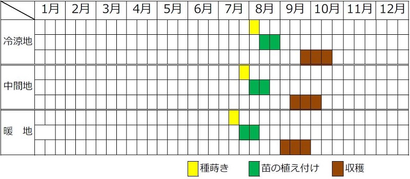 ササゲの栽培カレンダー（種まき時期・植え付け時期・収穫時期）