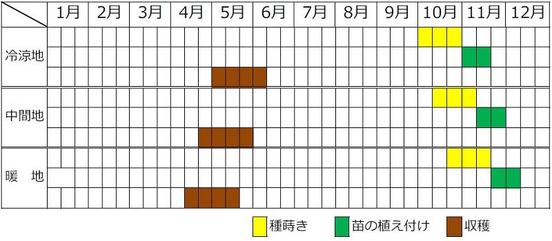 サヤエンドウ栽培カレンダー（種まき時期・植え付け時期・収穫時期）