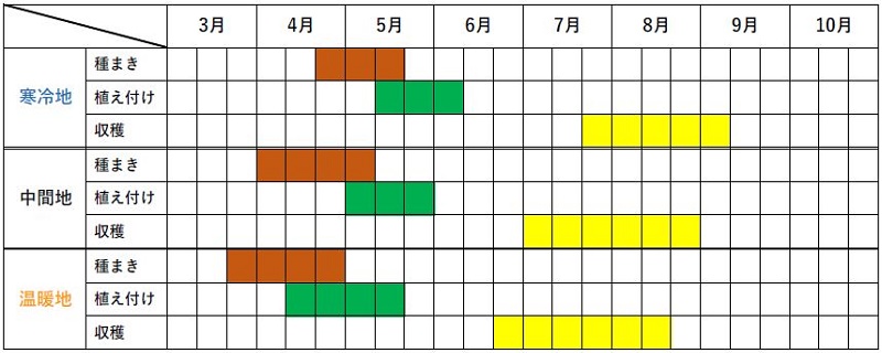 シカクマメの栽培カレンダー