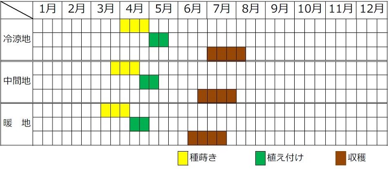 トウモロコシ栽培カレンダー
