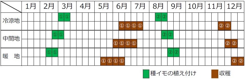 ジャガイモの栽培カレンダー（種まき時期・植え付け時期・収穫時期）