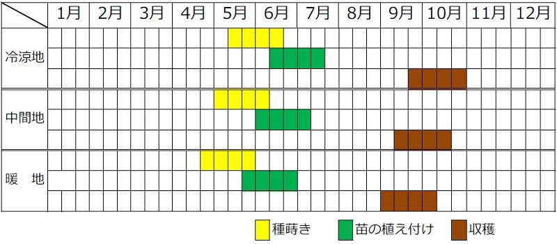 落花生栽培カレンダー（種まき時期・植え付け時期・収穫時期）