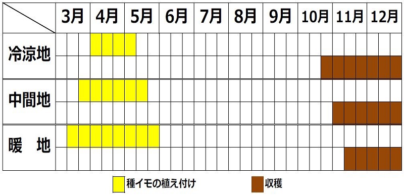 ヤマイモの栽培カレンダー