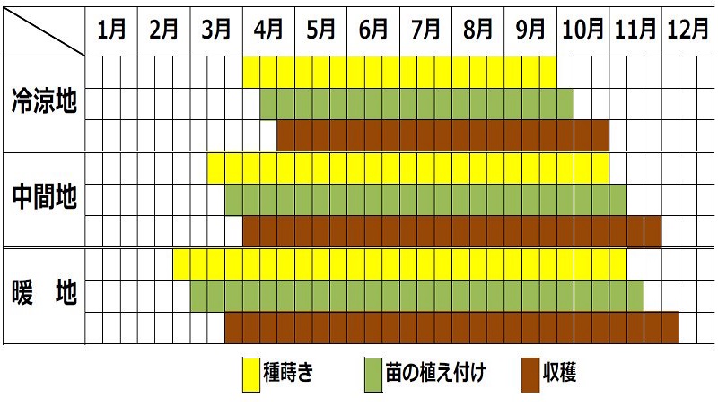 ベビーリーフの栽培カレンダー