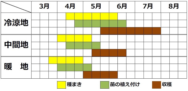 チンゲンサイ栽培カレンダー