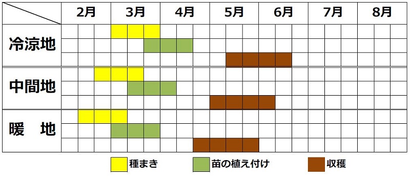 ハクサイ栽培カレンダー（春まき）