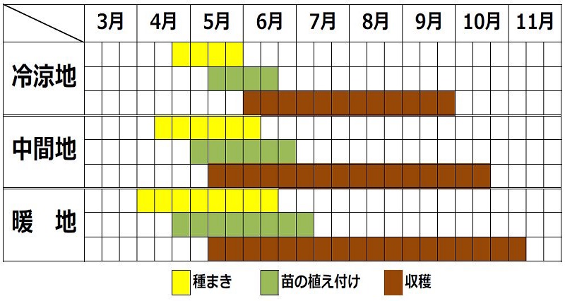 ヒユナの栽培カレンダー
