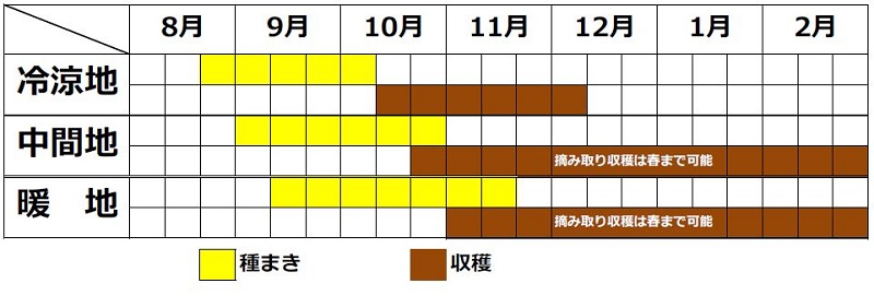 ほうれん草の栽培カレンダー（秋まき）