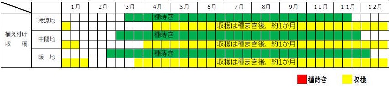 コマツナ栽培カレンダー