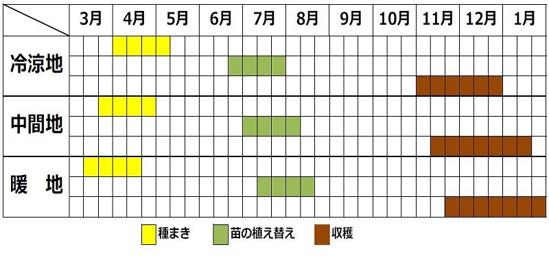 リーキの栽培カレンダー