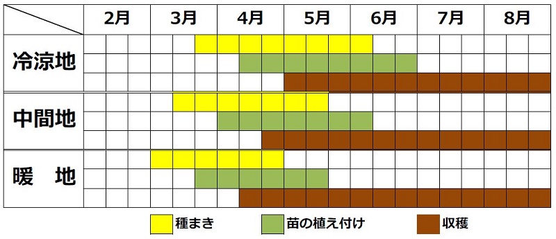 ミツバ栽培カレンダー