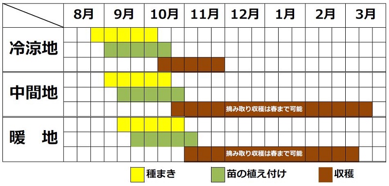 ミズナ栽培カレンダー（秋まき）