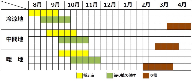 ノラボウ菜の栽培カレンダー