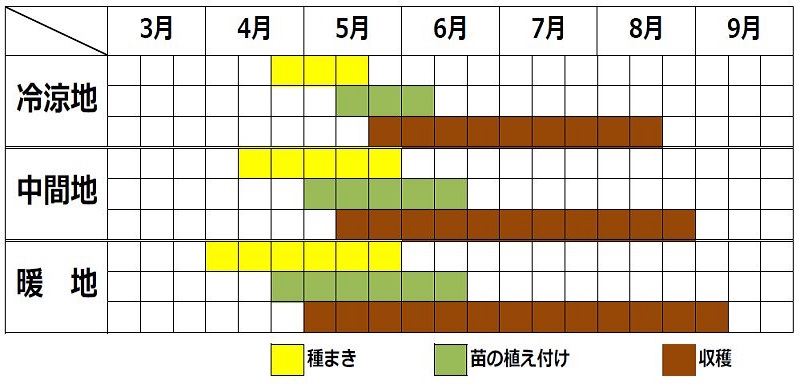 オカヒジキ栽培カレンダー