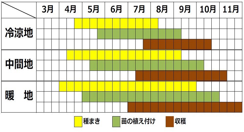 オカノリの栽培カレンダー