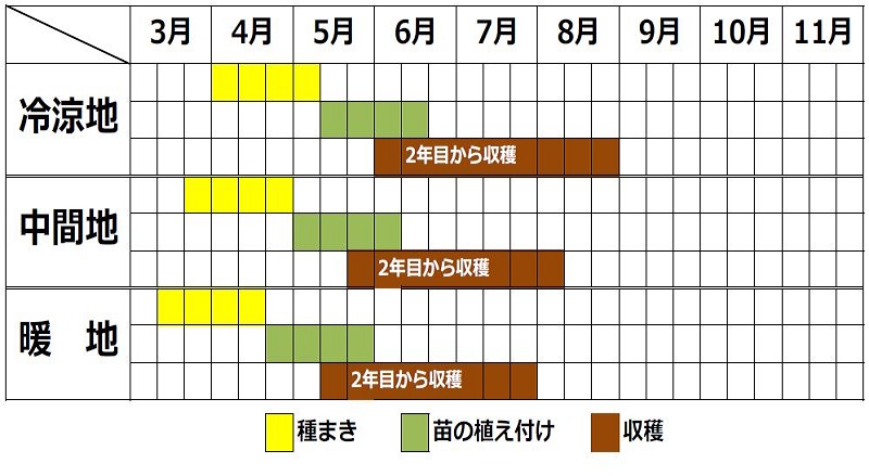 ルバーブの栽培カレンダー
