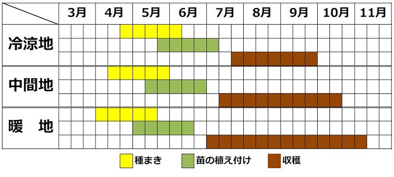 シソの栽培カレンダー