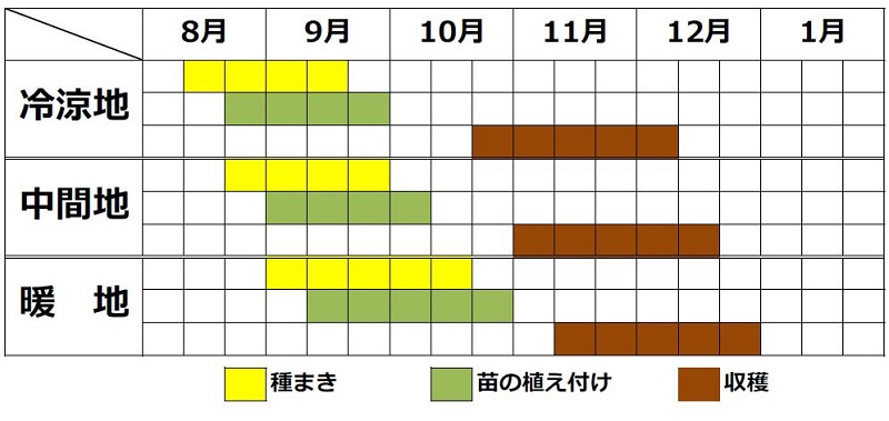 栽培カレンダー（秋まき）