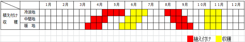 玉レタス栽培カレンダー
